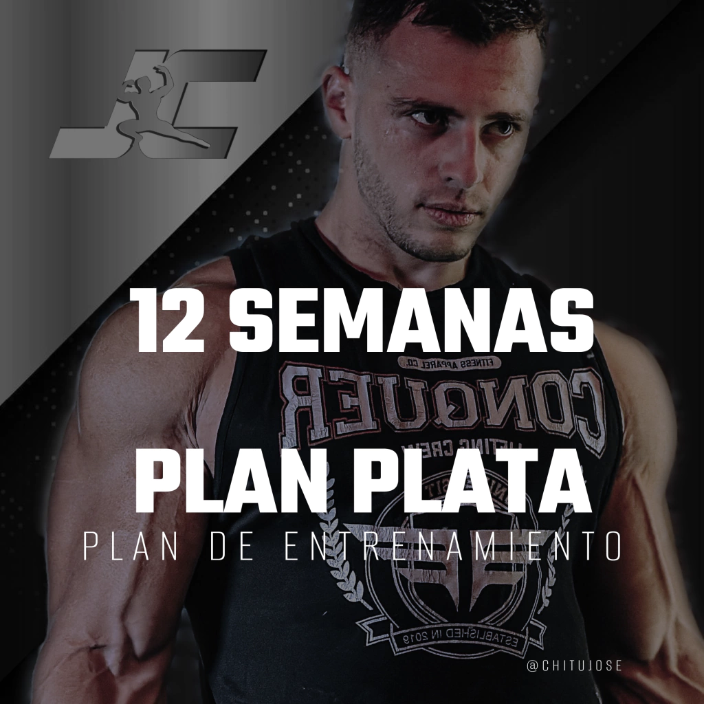 PLATA - 12 SEMANAS