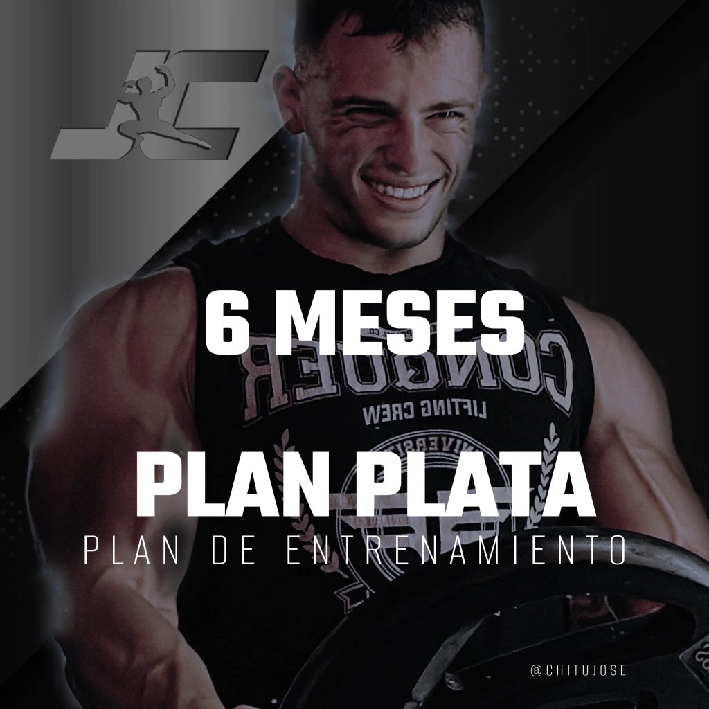 PLATA - 6 MESES