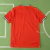Camisa Portugal I 25/26 - Torcedor Puma Masculina - Vermelho (PRONTA-ENTREGA) - comprar online
