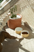 Comedouro Oasis