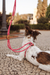 Guia Uni. Pink - comprar online