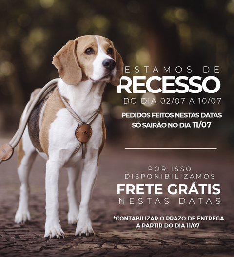 Carrossel 1