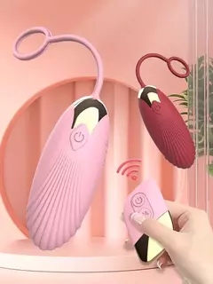 Vibrador com Controle Recarregavel