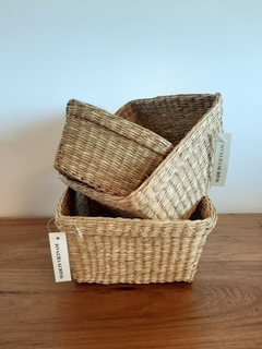 Panera fibras
