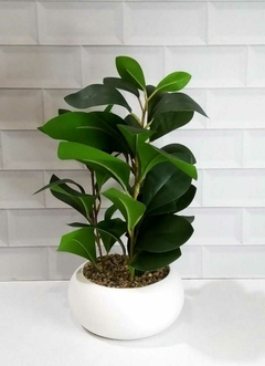 Planta con maceta blanca