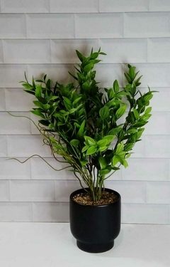 Planta con maceta de cerámica