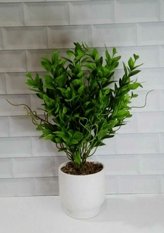 Planta con maceta de cerámica - comprar online