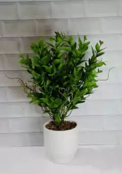 Planta con maceta de cerámica - comprar online