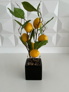 Limonero