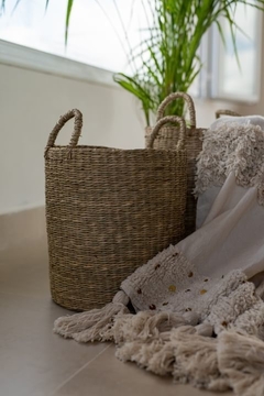 Cesto - comprar online