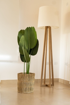 Planta flor del pajaro