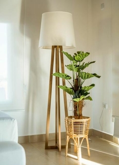 Planta - comprar online
