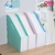 Organizador Vertical Fuelle MACARON Pastel - comprar online