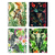 Cuadernos Hojas Removibles – Mixtos – Tapa Dura – Línea Fauna
