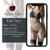 CORSET PENELOPE+ PORTALIGAS + LESS + MEDIAS en internet