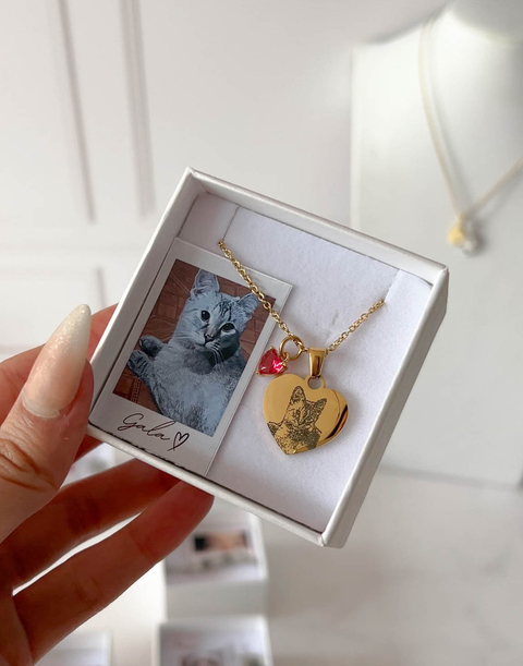 Collar Fotograbado Mascota - comprar en línea