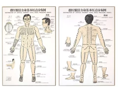 Masaje Shiatsu en pareja: 65 minutos. en internet