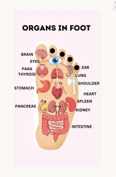 Masaje Shiatsu en pareja: 65 minutos. - CIAO® Spa