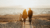 Parejas