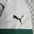 Camisa Palmeiras II 23/24 Torcedor Puma - Branca e Verde - comprar online