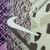Imagem do Camisa Tottenham III 21/22 Torcedor Nike - Roxa e Branca