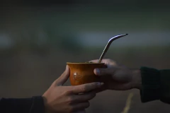 Combo Mate + Bombilla - tienda online