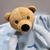 Cobertor e Bichinho de Pelúcia Teddy Bear Azul - na internet