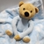 Cobertor e Bichinho de Pelúcia Teddy Bear Azul - - loja online