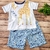 Conjunto Camiseta e Bermuda Safari - Tam 2 - Anjos Baby