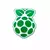 RASPBERRY PI PICO