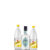 Combo Brighton tonic