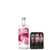 Combo Absolut