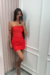 Imagem do Vestido Arielly