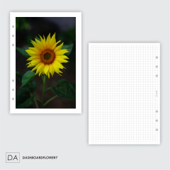 DASHBOARD MAXI BRILHO - COLEÇÃO FLOWER