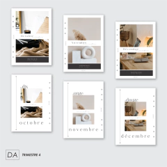DASHBOARD MAXI BRILHO MOIS - Jess Plans