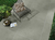 Porcelanico 86x86 Lume Concreto Gris 1ra - comprar online