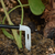 Kit Micro Irrigação por Hastes Gotejadoras - loja online