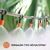 Imagem do Kit Micro Irrigação por Bicos Nebulizadores