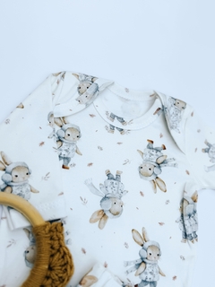 Conjunto Conejo en internet