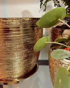 Maceta de ceràmica Golden - comprar online