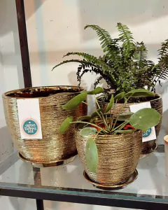 Maceta de ceràmica Golden - Su Florista