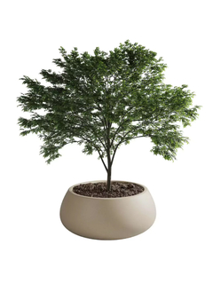 Batea Rotomoldeada Grande Beige