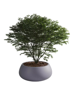 Batea Rotomoldeada Grande Gris