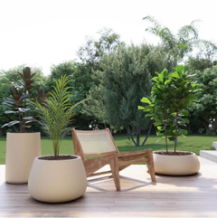 Batea Rotomoldeada Grande Beige - comprar online