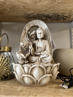 Fuente Buda