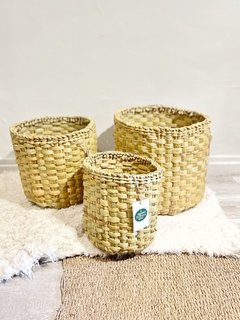 Trio de Cestos Pampa - comprar online