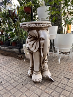 Elefante Alto