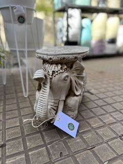Mesa Elefante en reposo