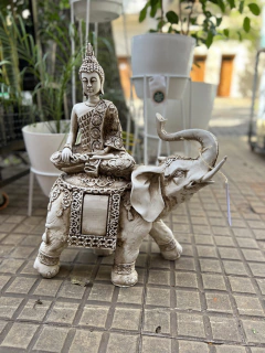 Buda sobre Elefante