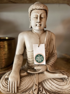 Buda Conocimiento - comprar online